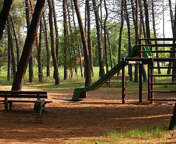 Accogliente Bilocale Con Terrazzo A Pinarella Di - Cv006 Appartement *