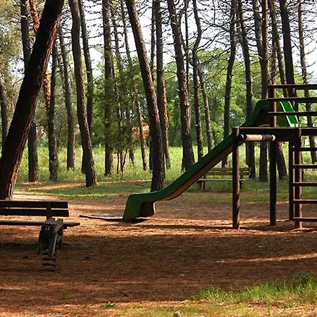 Accogliente Bilocale Con Terrazzo A Pinarella Di - Cv006 Appartement *